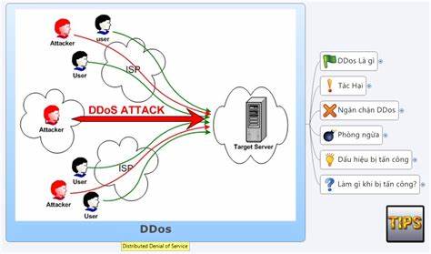 Understanding Distributed Denial-of-Service (DDoS) Attacks